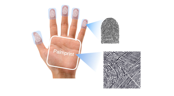 An image of fingerprint and facial recognition using a smartphone camera